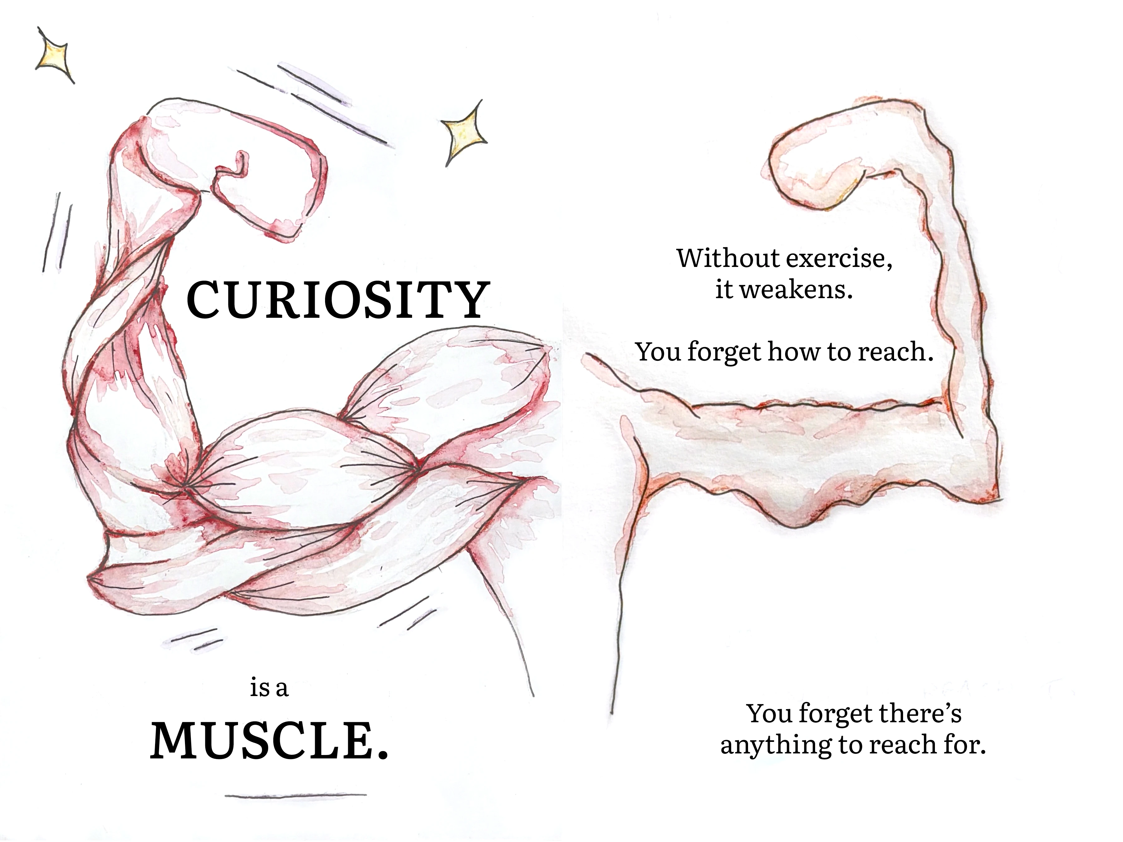 Curiosity is a muscle